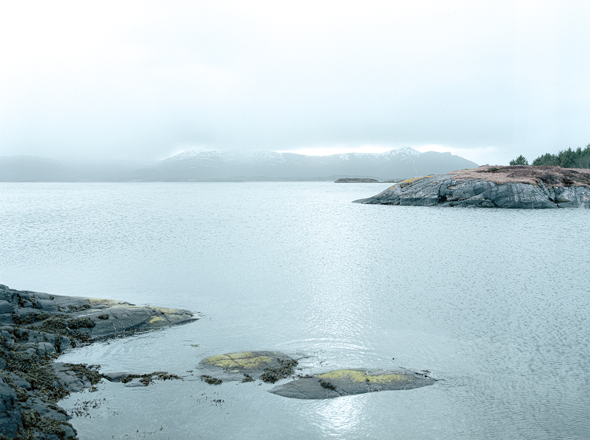 HasselbladH2C2_MS3_ICE1_0001s